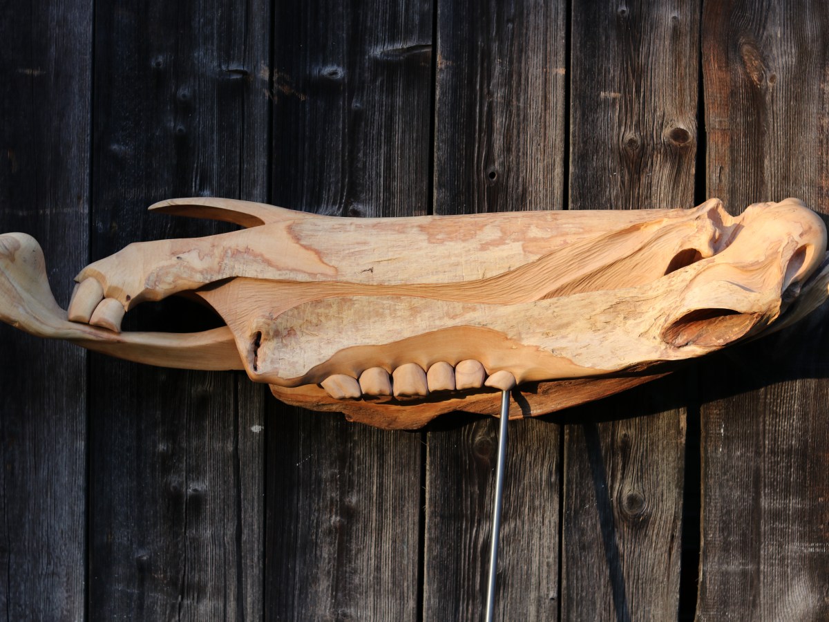 Fantastischer Schädel